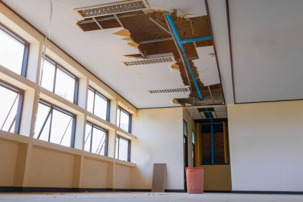 Best Basement water damage restoration  in Hoschton, GA