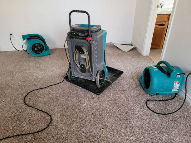 Best Water damage restoration mold remediation  in Hoschton, GA