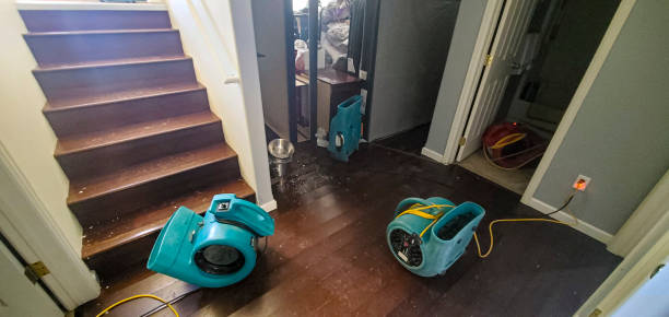 Best Professional water damage repair  in Hoschton, GA