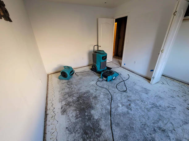 Water damage restoration mold remediation in Hoschton, GA