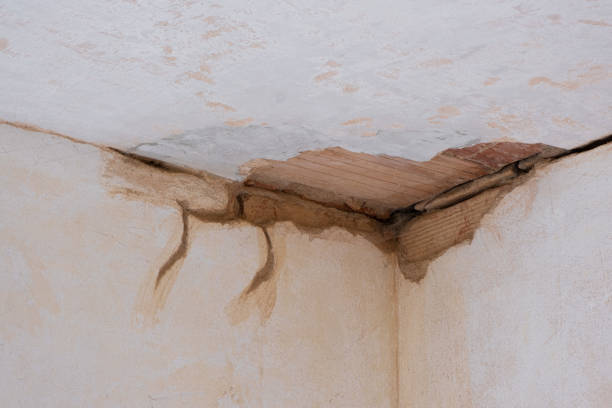 Best Sewage cleanup and water damage restoration  in Hoschton, GA