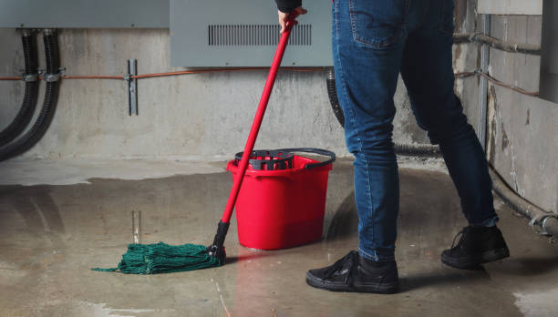 Best Sewage cleanup and water damage restoration  in Hoschton, GA