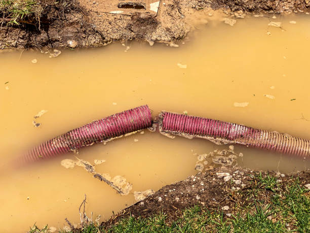 Best Commercial water damage restoration  in Hoschton, GA
